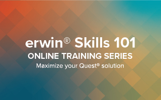 erwin Skills 101: The Art of Documenting Data Structures 